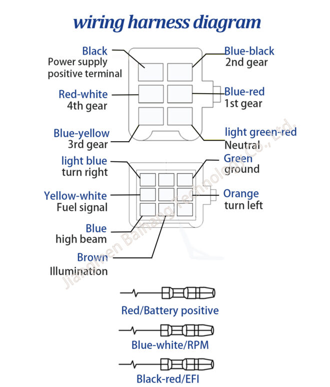 MC96210 - Image 4